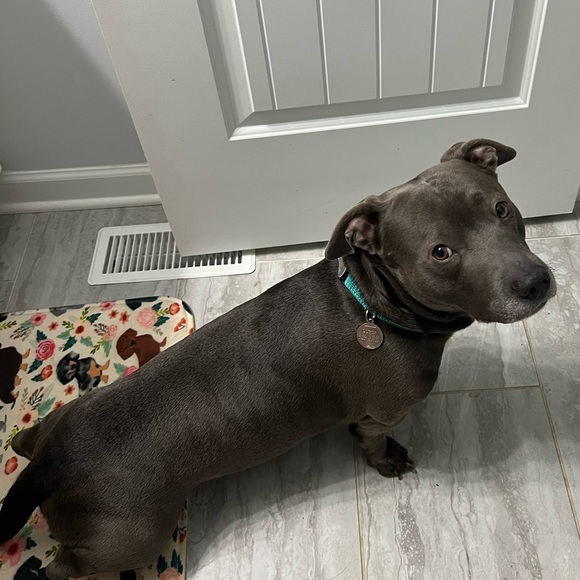 Hi! I’m Sarah. Colors, sparkles, and Betsey Johnson make life happy! - Picture 5 of 12